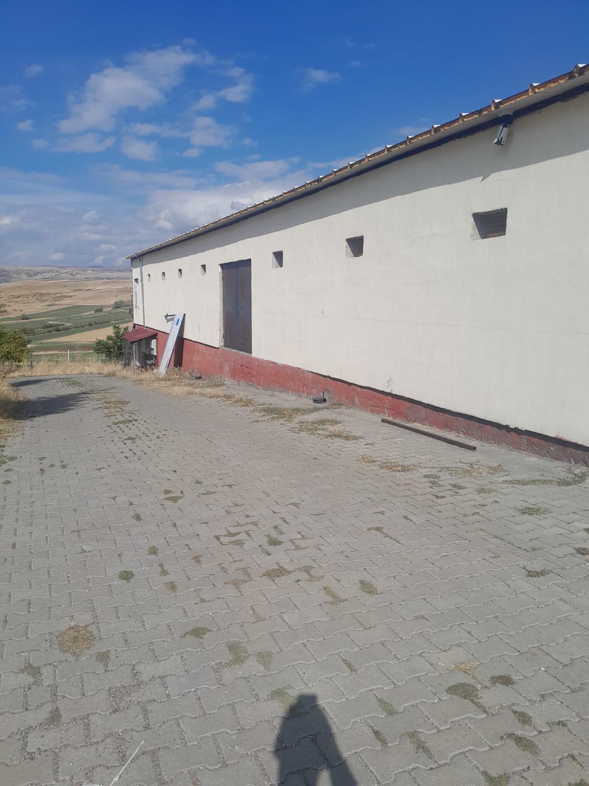 KARAKOÇAN'DA SATILIK TAVUK ÇİFTLİĞİ